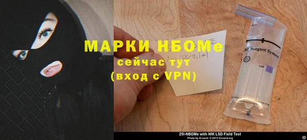 индика Протвино
