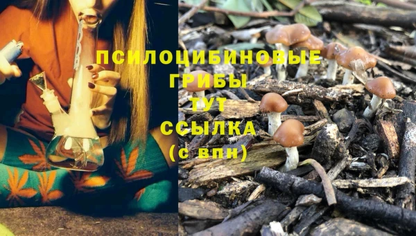 прущая мука Беломорск