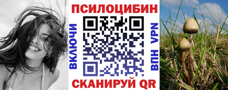 Псилоцибиновые грибы Psilocybine cubensis купить наркотики сайты Саяногорск